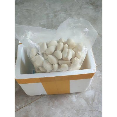 【自家工厂】蒜米蒜子剥皮蒜瓣新鲜去皮餐饮商用蒜子去皮蒜图3