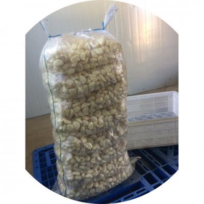 【自家工厂】蒜米蒜子剥皮蒜瓣新鲜去皮餐饮商用蒜子去皮蒜