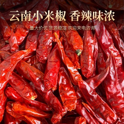 辣椒干印度干辣椒特辣干辣椒批发S17帽椒去帽椒辣火锅底料调味品图2