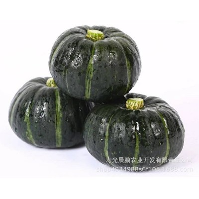 正宗贝贝南瓜 板栗味小南瓜 粉糯香甜 产地直供一件代发图5