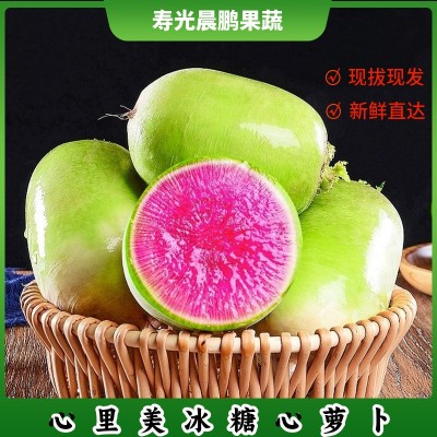 冰糖红心水果萝卜生吃甜脆新鲜现拔水果型心里美萝卜批发寿光蔬菜图1