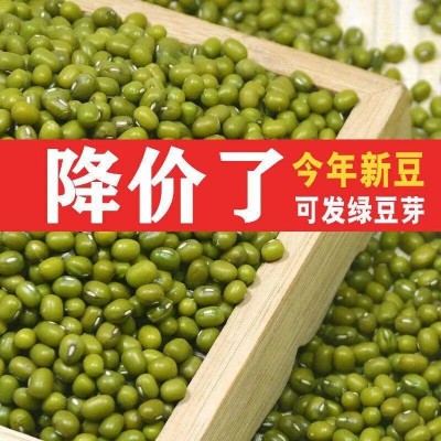 绿豆5斤 东北农家新绿豆100g可发芽粮油绿豆粥解暑绿豆汤绿豆糕图1