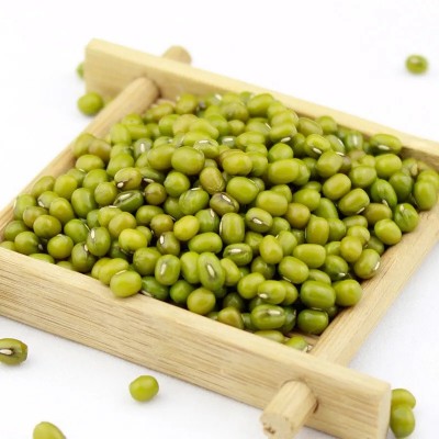 绿豆5斤 东北农家新绿豆100g可发芽粮油绿豆粥解暑绿豆汤绿豆糕图3