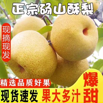 砀山梨当季现摘水果果园直发10斤整箱批发时令水果多汁香梨子青梨图2