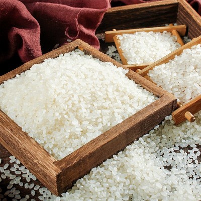 孙斌大米珍珠米5kg编织袋东北大米长粒米黑龙江大米厂家批发图5