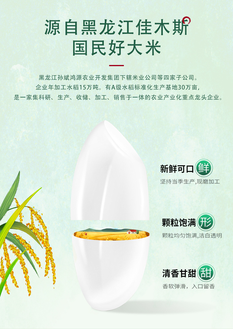 珍珠米_02.jpg