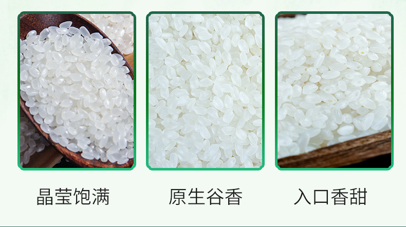 珍珠米_07.jpg