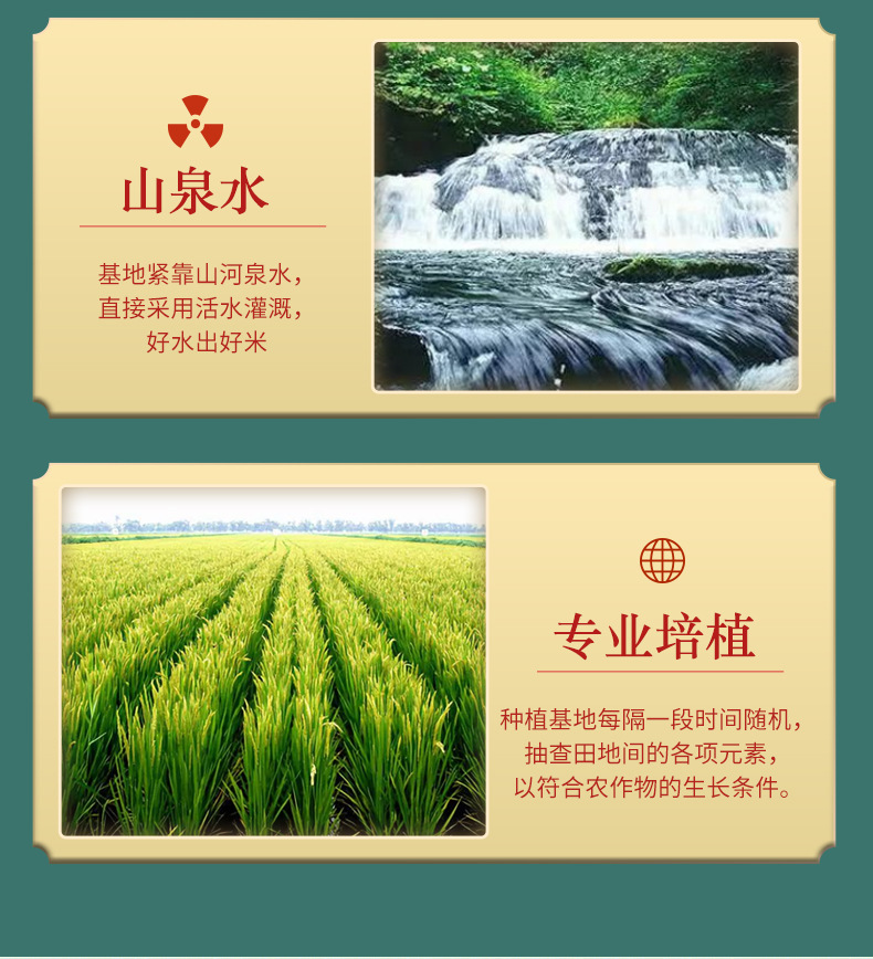 珍珠米_09.jpg