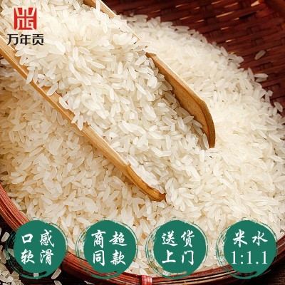 万年贡丝苗王米10kg江西大米新米20斤籼米长粒香米图2