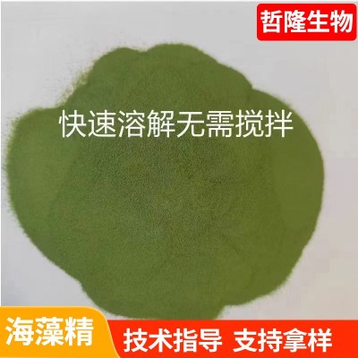 酶解绿色海藻精海藻酸叶面肥冲施肥生根壮苗有机水溶肥海藻精图3