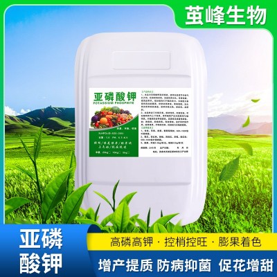 亚磷酸钾原液农业果蔬高磷高钾冲施肥保果亚磷酸钾水溶肥叶面肥图1