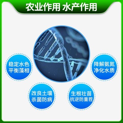 em菌发酵em菌原菌粉水产种植养殖专用种植发酵粉有机肥发酵剂图4
