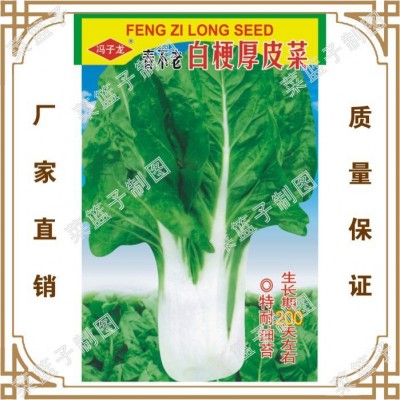 蔬菜种子 春不老白梗厚皮菜(生长期200天左右)