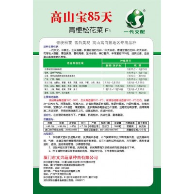高山宝85天送花菜种子花菜种子高产厂家直销2000粒抗病性好种苗图2