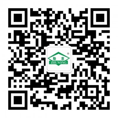 高山宝83天松花菜种子 耐寒耐温差 市场畅销 文兴种苗 蔬菜种子图5