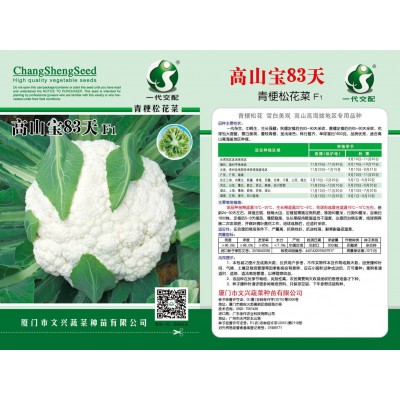 高山宝83天松花菜种子 耐寒耐温差 市场畅销 文兴种苗 蔬菜种子图3