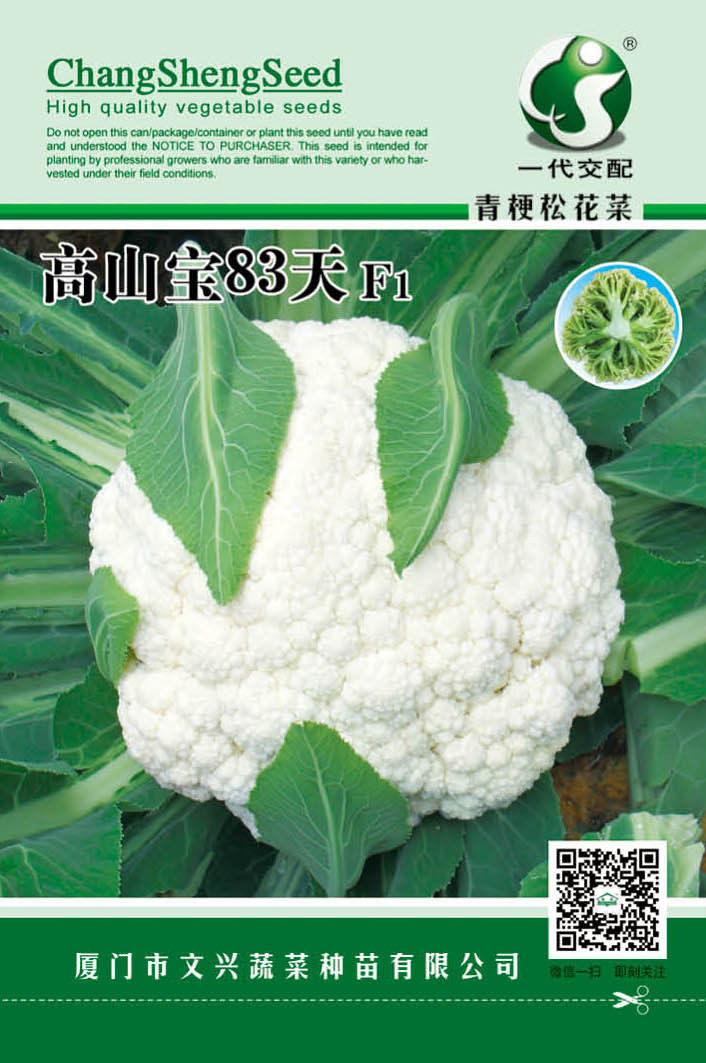 高山宝83天正面