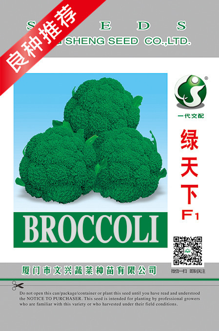 绿天下正面