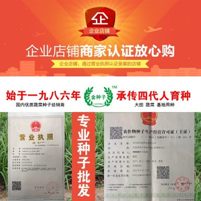 茼蒿种子茼蒿籽蔬菜种子批发菜种菜籽菜种子公司四季播种图4
