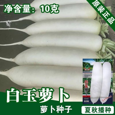 萝卜种子萝卜籽白萝卜籽蔬菜种子批发菜种菜籽种子公司四季