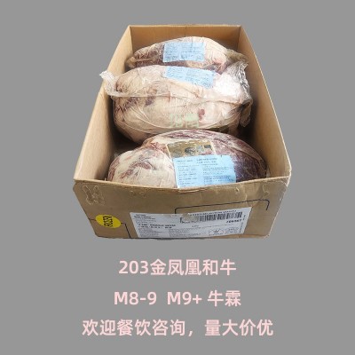 澳洲203金凤凰和牛M9牛霖谷饲400天牛膝圆雪花牛肉可切粒一箱代发图4