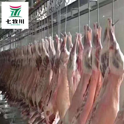 新西兰进口全羊 清真绵羊酮体羊腔子 餐饮食堂批发新鲜冷冻整羊图2