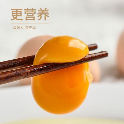 竹林蛋30枚/1350g散养走地土鸡蛋现捡现发图3