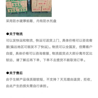 精品小绿壳蛋，480枚装 毛重41-43斤，日捡日发图5