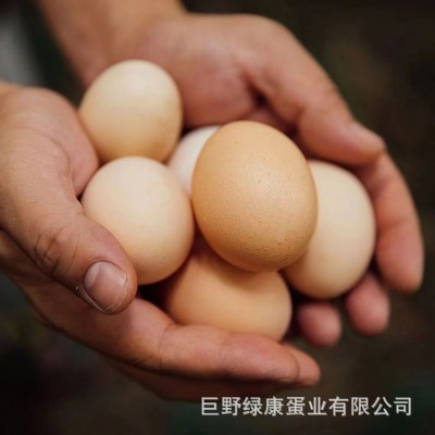 红壳鸡蛋五谷物粮食喂养新鲜鸡蛋整箱厂家批发鸡蛋批发量大从优图2