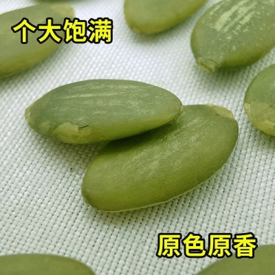 生南瓜子仁500g 原味无壳南瓜籽仁 新鲜货脱壳批发新疆特产代发图3