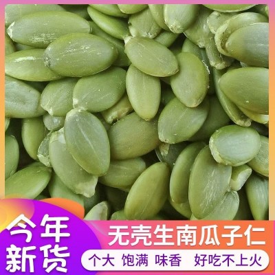 生南瓜子仁500g 原味无壳南瓜籽仁 新鲜货脱壳批发新疆特产代发图1