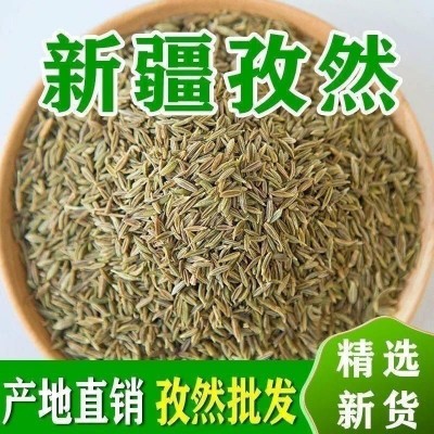 【新疆直发】批发新疆孜然粒 浓香孜然香料淄博烧烤撒料 量大从优