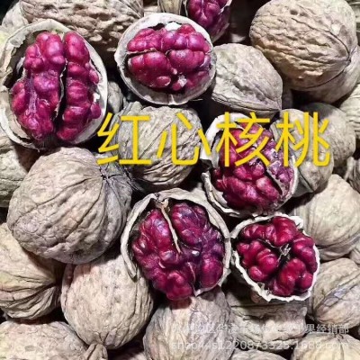 新疆特产干果新货红衣红皮红心核桃办公室零食500克现货量大从优图4