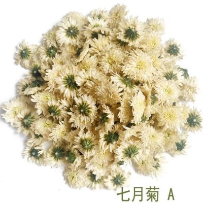 大量批发七月菊新花上市太阳花出售黄山贡菊基地种植杭白菊花草茶图5