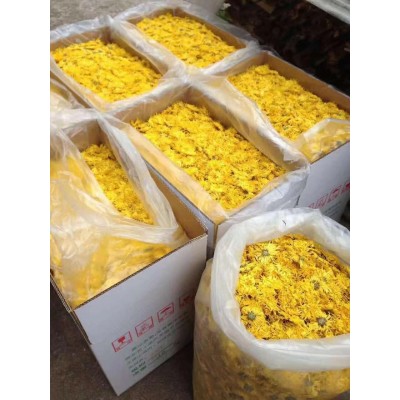 大量批发金丝皇菊花草茶一壶一朵干花10公分人工挑选大朵菊花茶g图3