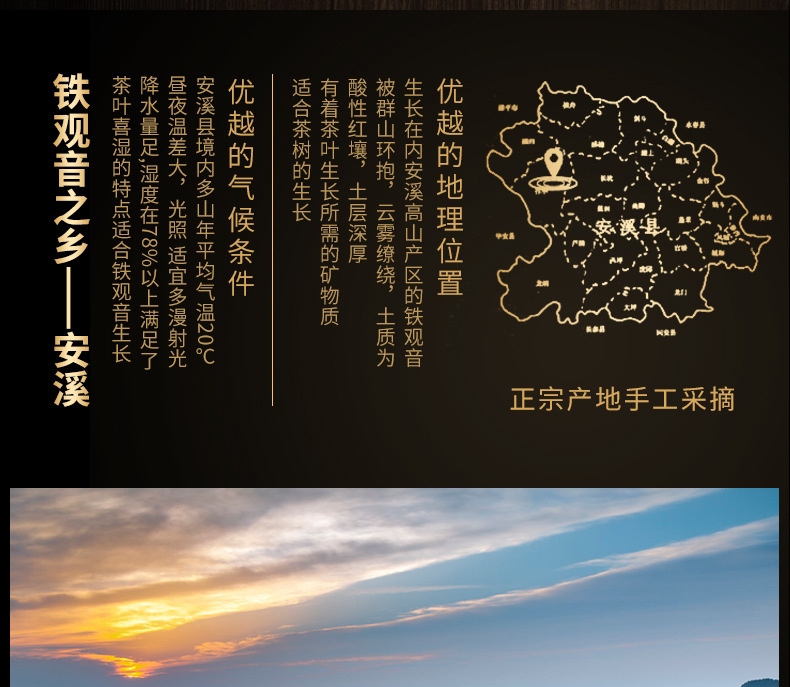 铁观音_01.jpg