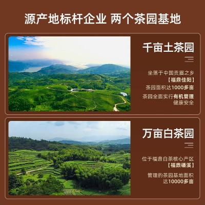 陈皮白茶 福鼎白茶2015年陈皮寿眉老树饼干茶叶小方片100泡礼盒装图3