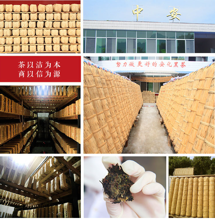 荷香金茯1000g卡盒_02