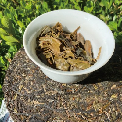 延初茶业 云南普洱茶生茶357克 老班章大叶茶饼茶 厂家直接发货图4