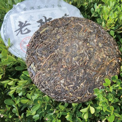 延初茶业 云南普洱茶生茶357克 老班章大叶茶饼茶 厂家直接发货图2