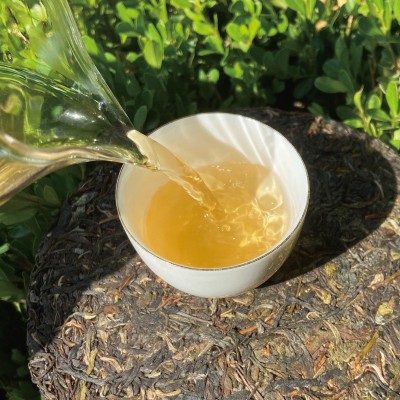 延初茶业 云南普洱茶生茶357克 老班章大叶茶饼茶 厂家直接发货图3