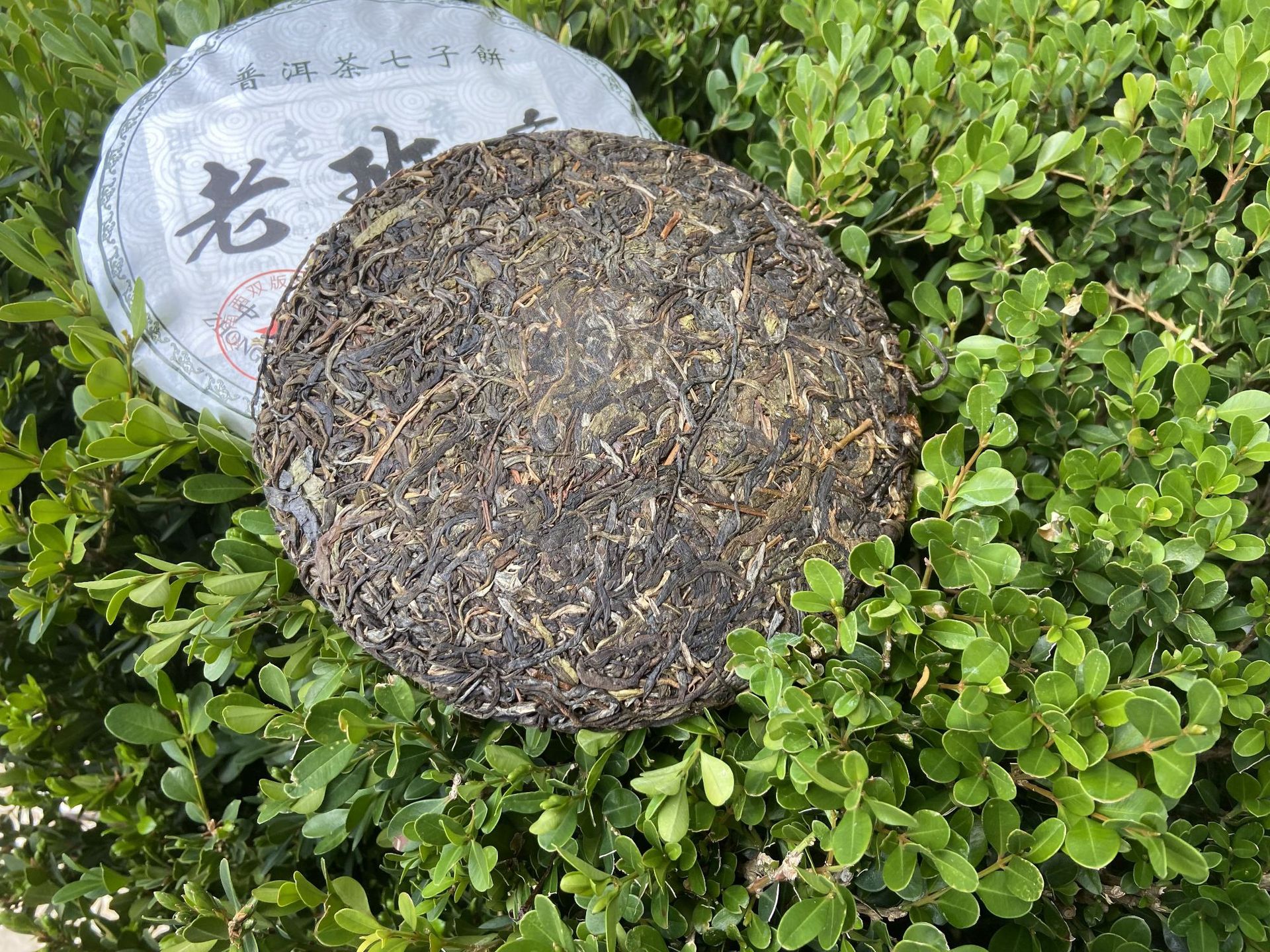 微信图片_20220120150131