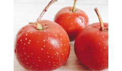 胃病慎吃三种水果 六种食物养胃