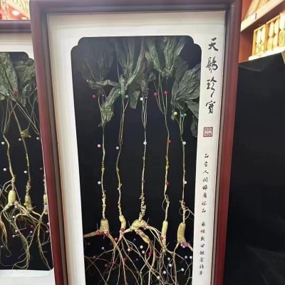 长白山特产林下参带叶礼盒高年份老山参东北特产礼品盒伴手礼