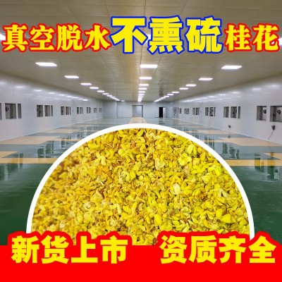 广西特产批发桂花茶优质散装桂花干桂花金桂花食用桂花源头厂家图1