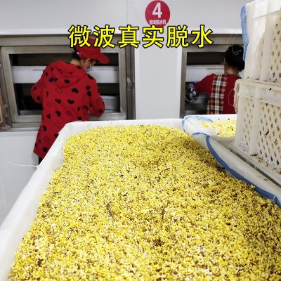 广西特产批发桂花茶优质散装桂花干桂花金桂花食用桂花源头厂家图4