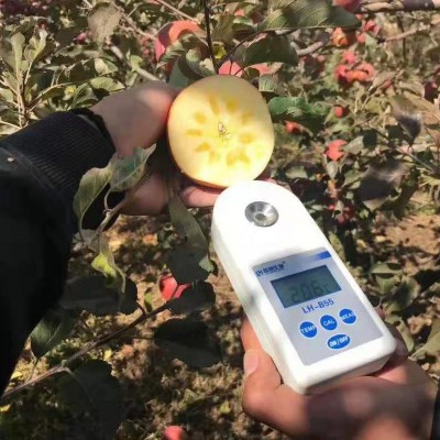 丑苹果糖心苹果盐源苹果四川大凉山糖心苹果盐源苹果丑苹果图2