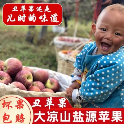 丑苹果糖心苹果高海拔盐源苹果四川大凉山糖心苹果盐源苹果丑苹果