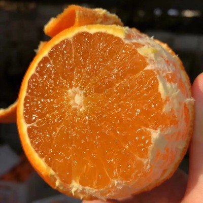 四川眉山爱媛38号果冻橙爱媛橙手剥橙甜橙新鲜采摘爱媛果冻橙图2