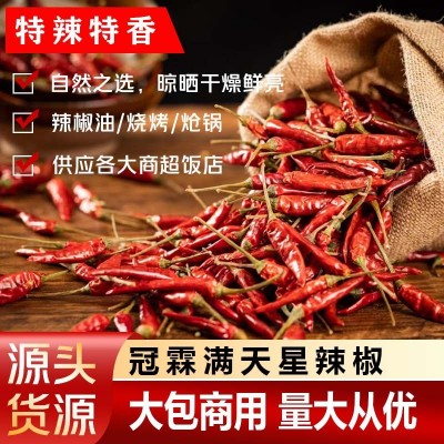 贵州辣椒满天星特辣产印度魔鬼批发遵义辣椒面干辣椒香辣朝天椒图1